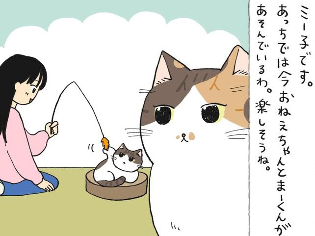 「あッ！あぶない！！」新入りの遊び方は見ているだけでヒヤヒヤです【ミー子の日常#32】