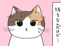 「はっ&hellip;！もしかして！？」いつもと違う住職とベテランねこの予感&hellip;【ミー子の日常#33】
