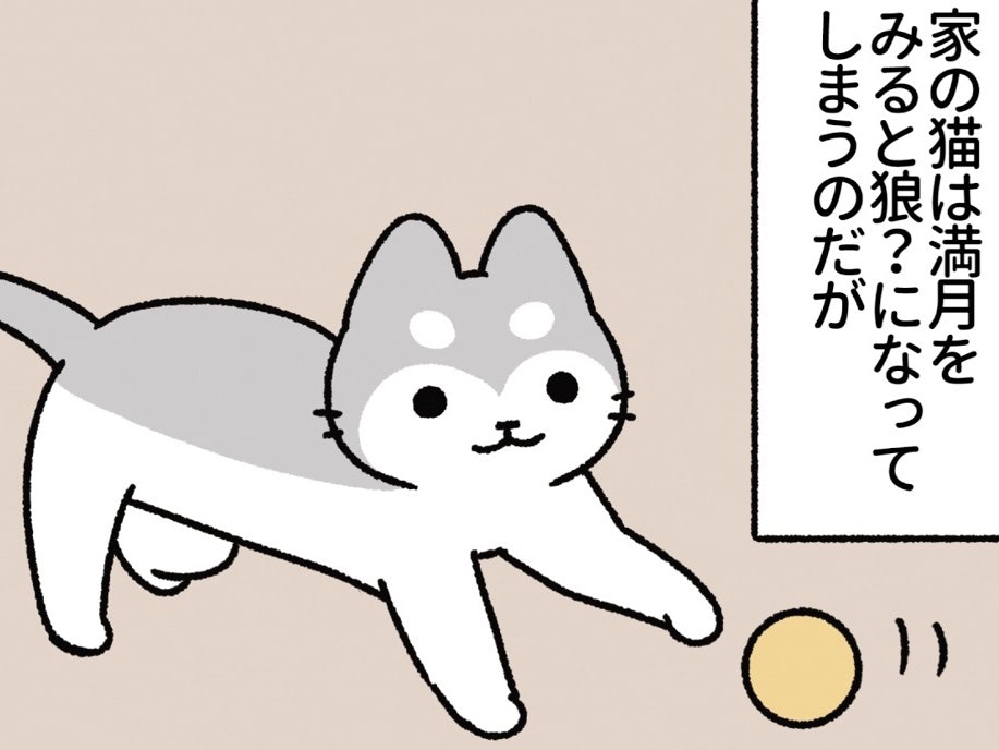 わが家のネコは"おおかみおとこ"に変身します。ちなみに満月の判定はゆるめです。【ねこもんすたー#3】
