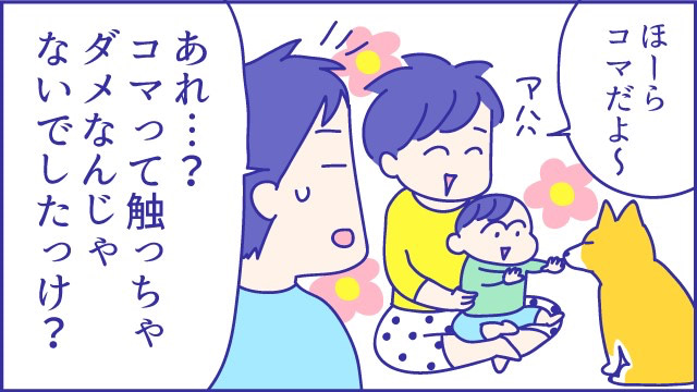 赤ちゃん　ペット　いつから