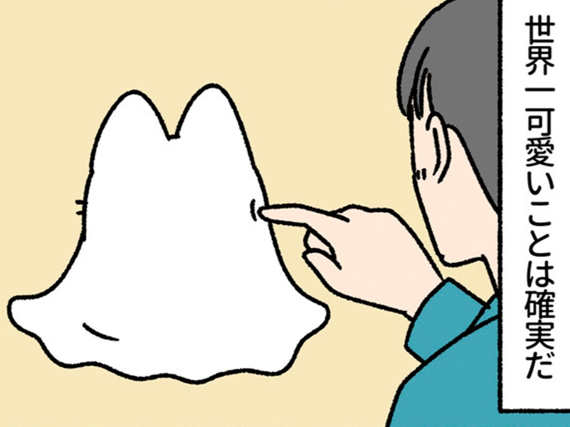 近所の変わった猫は、世界一可愛い"しーつおばけ"だった。【ねこもんすたー#7】