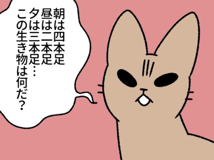 うちの猫は「なぞなぞ」を出してくる"すふぃんくす"。TPOは無視します。【ねこもんすたー#8】
