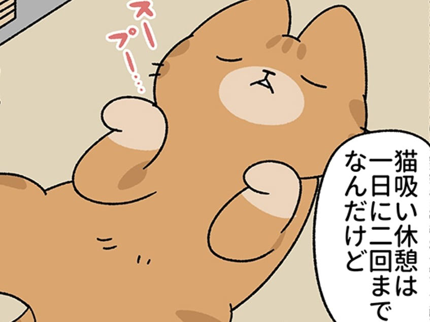 「猫吸い休憩は1日2回まで」。ネコ化した"じゃいあんと"を先輩が好きすぎる。【ねこもんすたー#9】