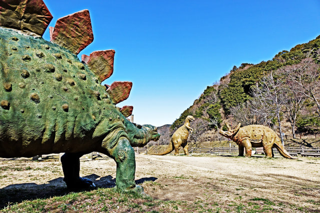 和歌山市森林公園