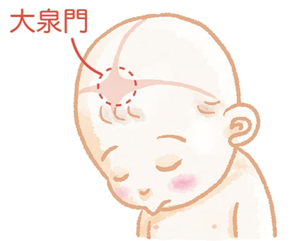 赤ちゃん　大泉門