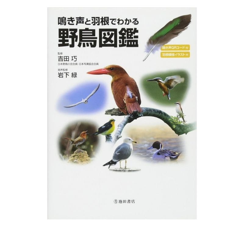 野鳥図鑑 オススメ