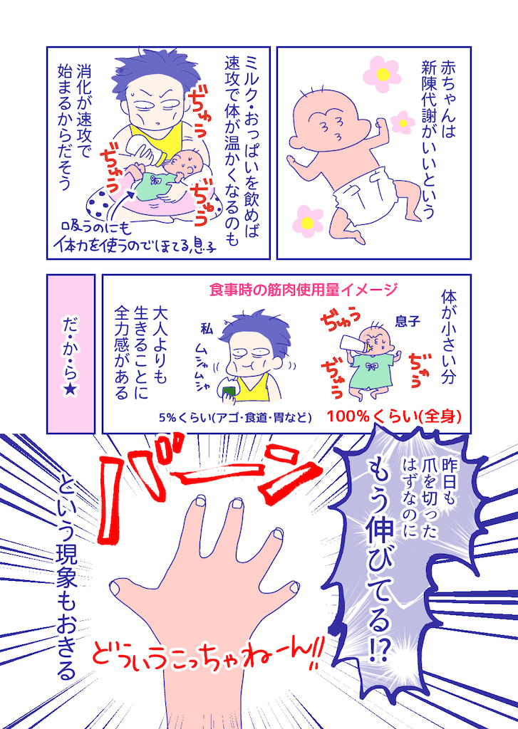 ぴろよの部屋8-1