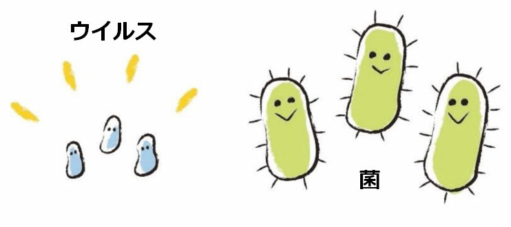 ウイルス　菌　違い