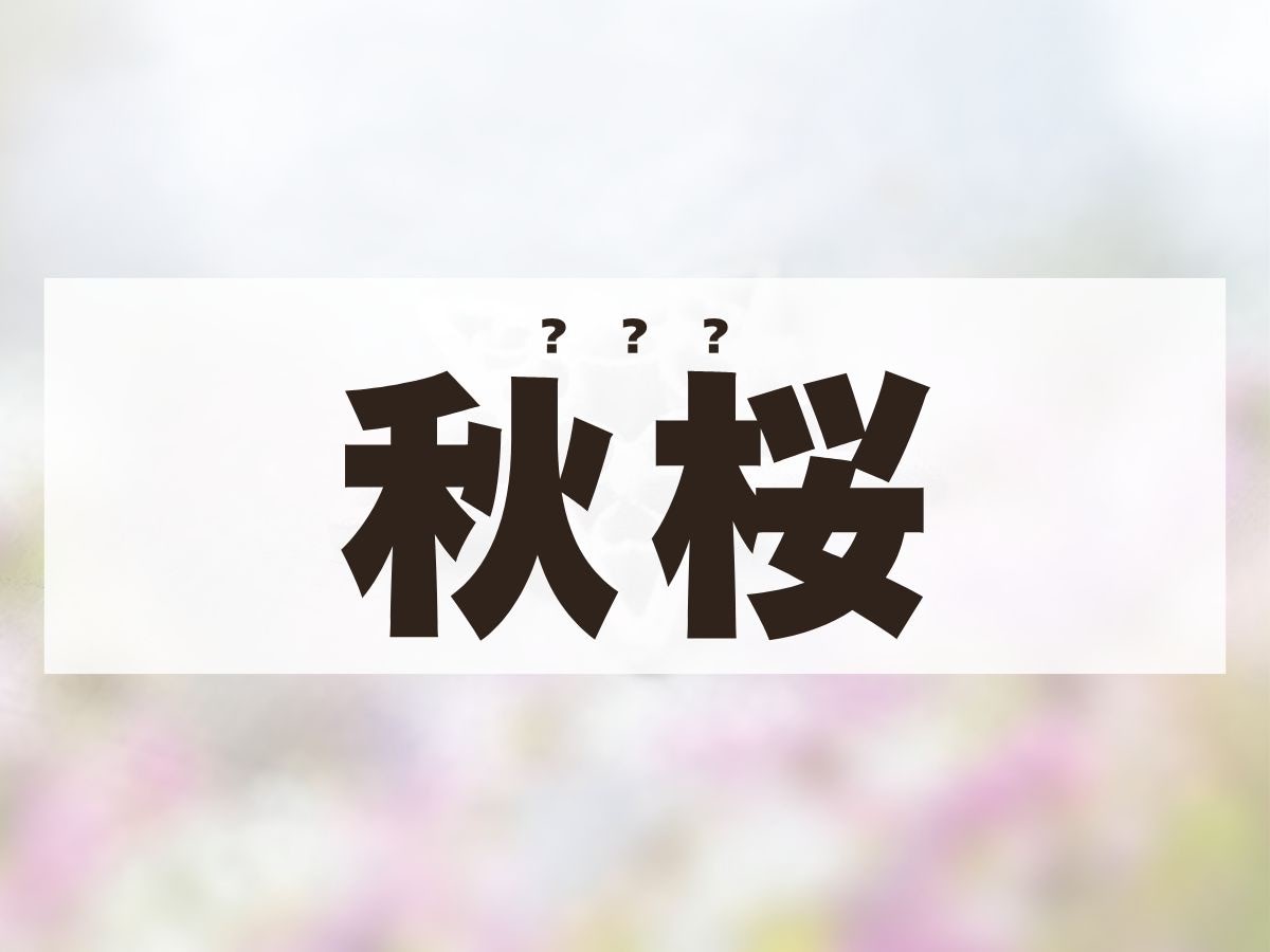 「秋桜」くん。この名前、何て読む？