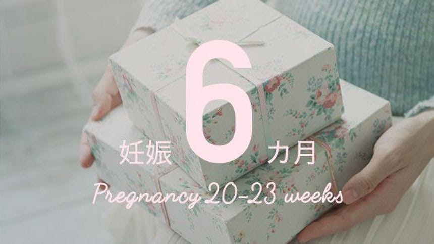 【妊娠23週6日／予定日まで113日】出産と育児グッズの準備を始めましょう