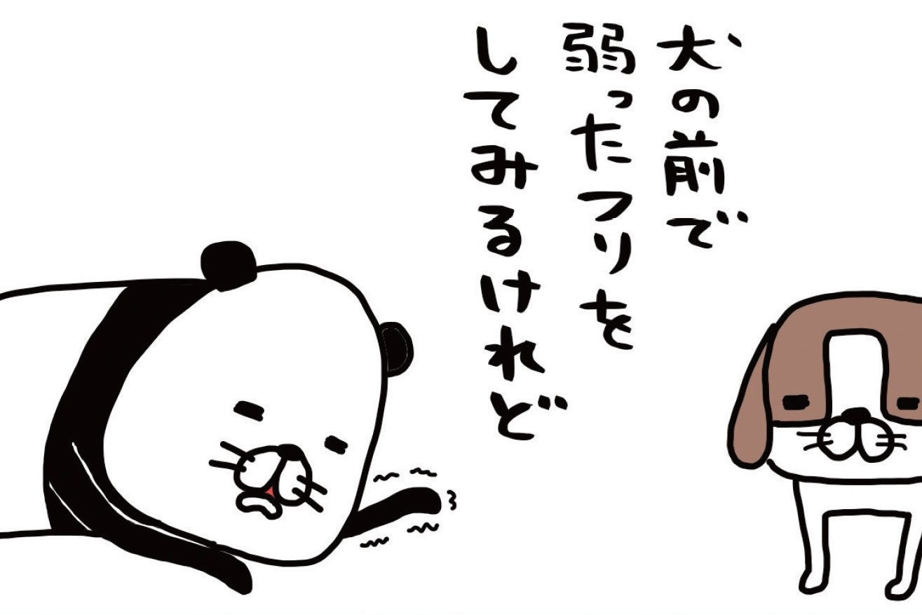犬の前で"弱ったフリ"をしてみたら…意外すぎる反応でかわいすぎた。【パンダと犬#3】