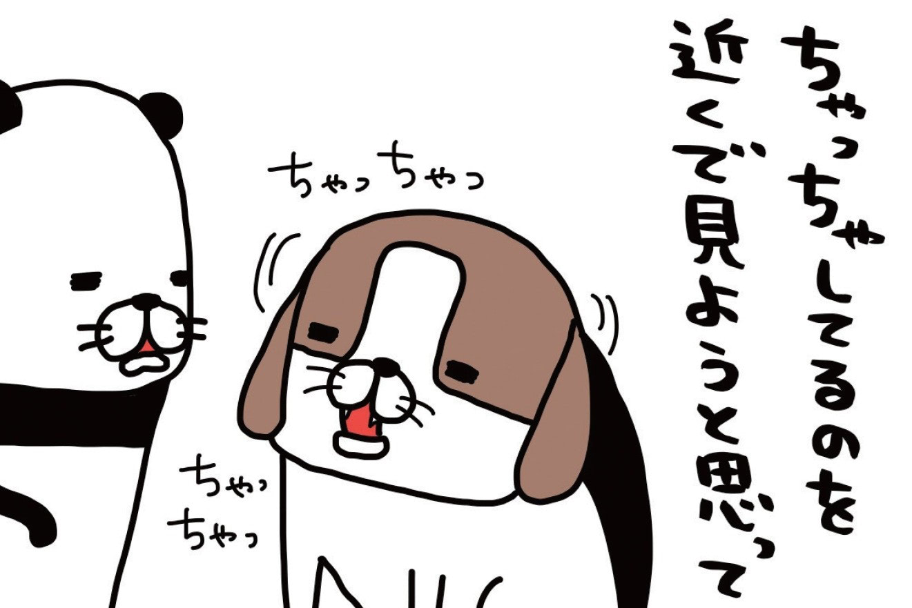 食べてる姿がかわいすぎて&hellip;「もっと近くで見たい」と吸い寄せられていったら&hellip;【パンダと犬#6】