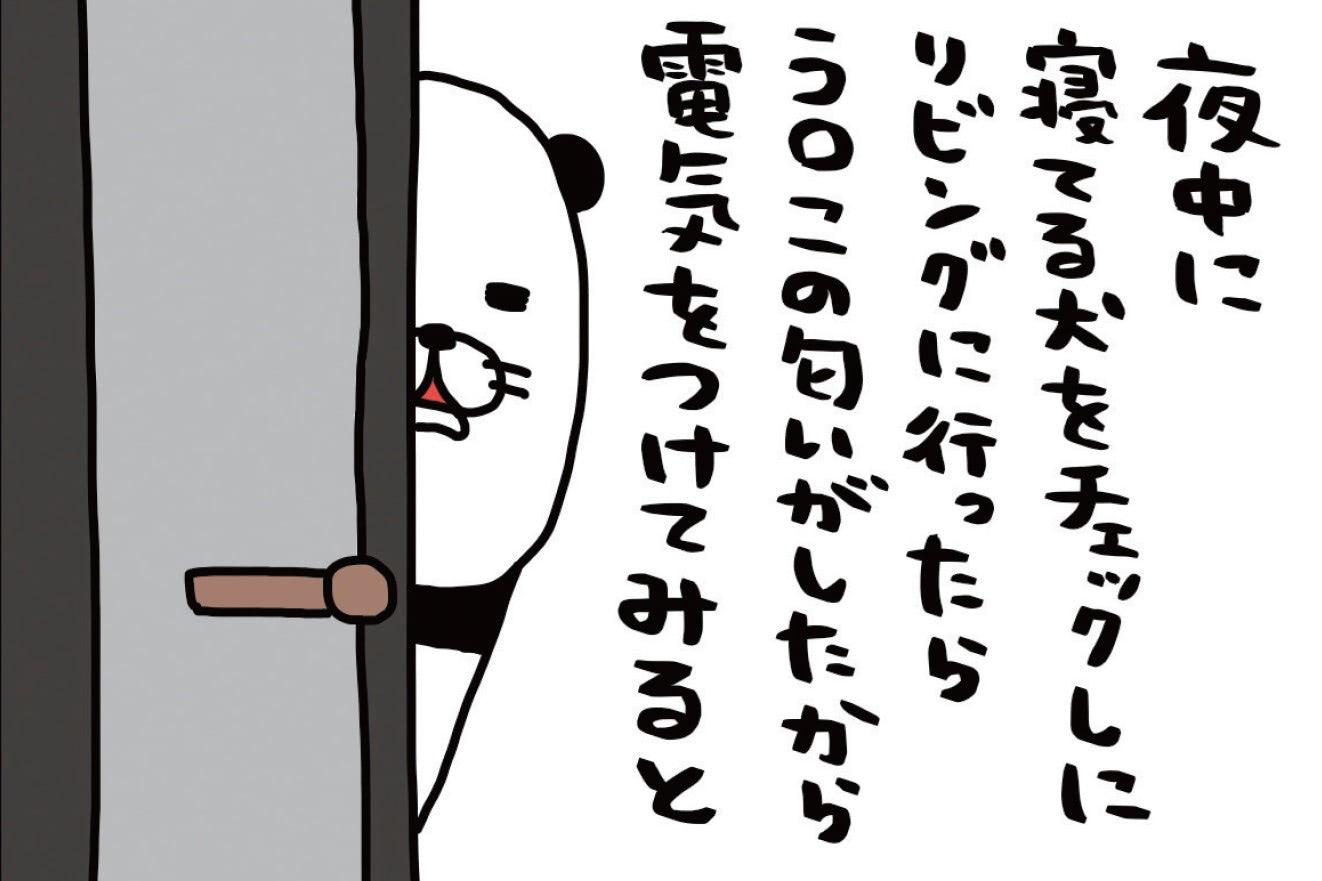 夜中に寝ている犬をチェックしに行ったら"あのニオイ"が。電気をつけてみると&hellip;？【パンダと犬#8】