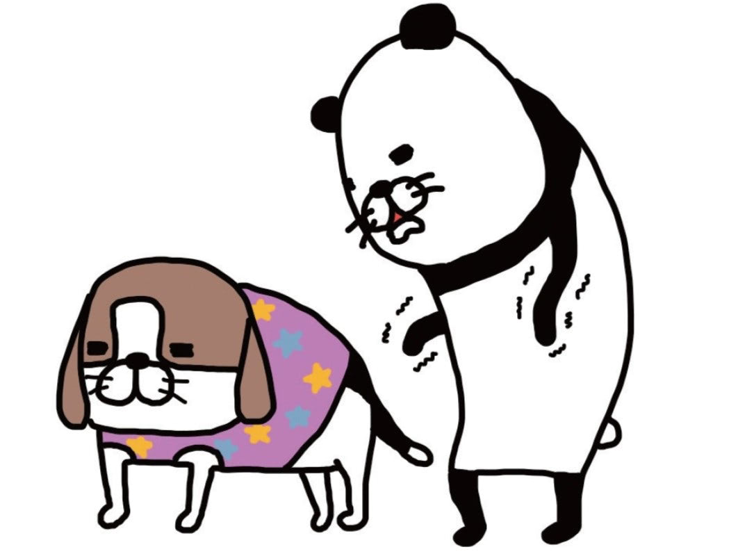 犬に服を着せると、必ずやってしまうコト。至福の時間が待っているのです&hellip;【パンダと犬#12】