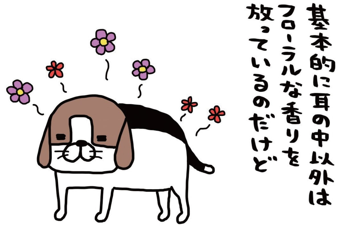 シャンプー直後はフローラルな香り。だけど翌日には"とあるニオイ"に&hellip;！？【パンダと犬#13】