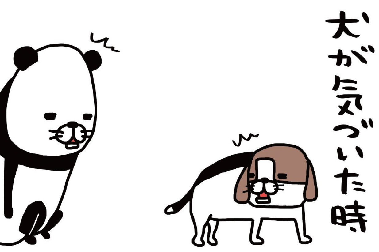 飼い主の存在に気づかない愛犬・梅吉（14歳）。気づいた瞬間の反応がかわいすぎた&hellip;！【パンダと犬#16】