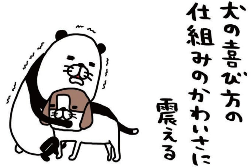 全身で喜びを表現してくれる梅吉(14歳)。かわいさに震える…!!【パンダと犬#18】