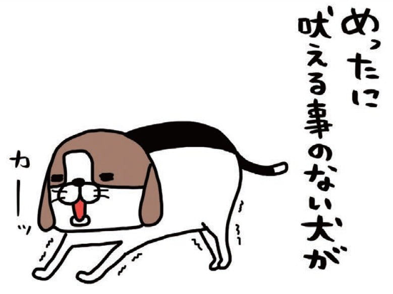 めったに吠えない梅吉（14歳）が吠えた！ビーグル本来の声を久々に聞いて&hellip;！？【パンダと犬#20】