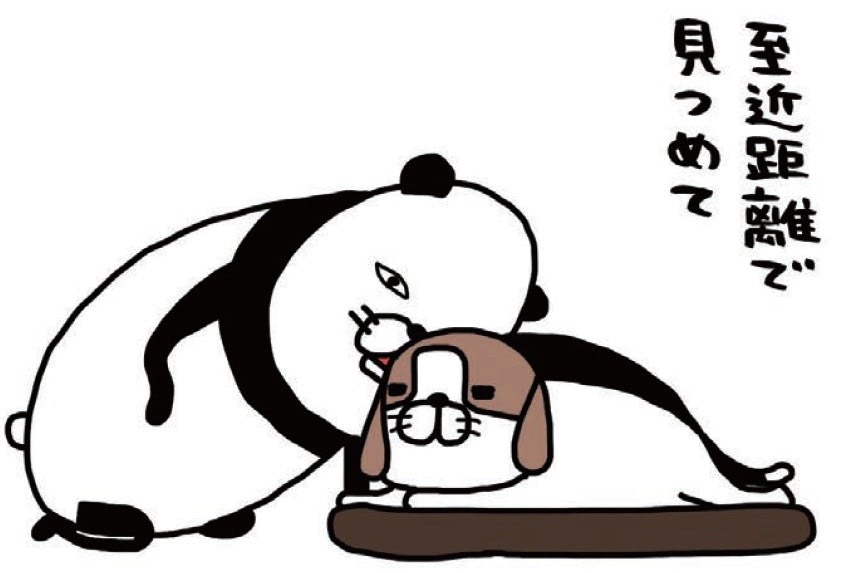 仕事終わらない～～！と思ったら&hellip;『犬の世界』へ現実逃避しています。【パンダと犬#23】