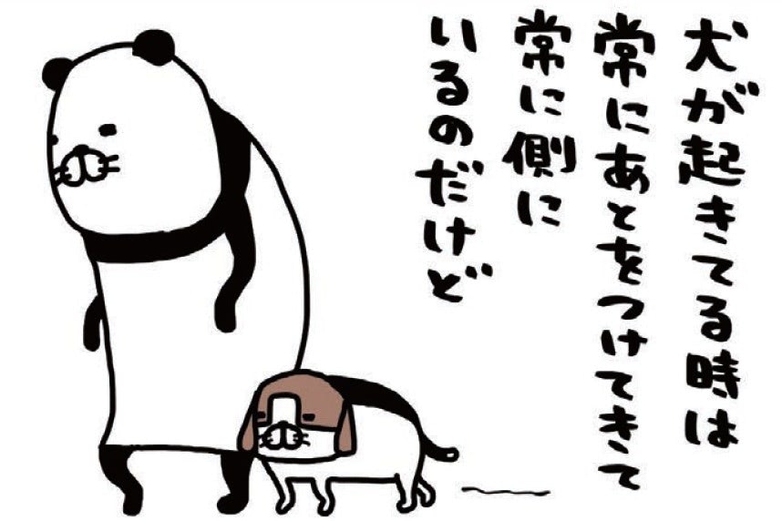 常に飼い主のあとをついて回る愛犬。その位置がどうにも絶妙で…もしかして狙ってやってる!?【パンダと犬#37】