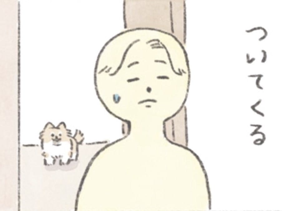 どこへでもついてくる愛犬"むっく"。期待通りにならないとわかると&hellip;？【うちのむっくはいつも楽しそう#1】