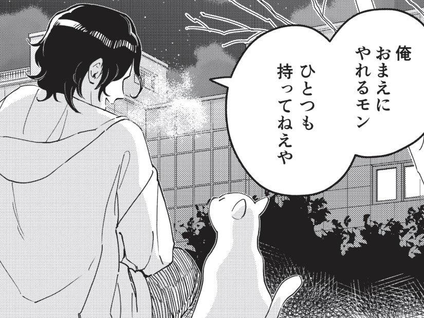 野良猫にあげるエサもない…そんな俺が"猫のために家を建てた"なんて信じられますか?【借金1000万作曲家の人生を変えてくれた猫の話#1】