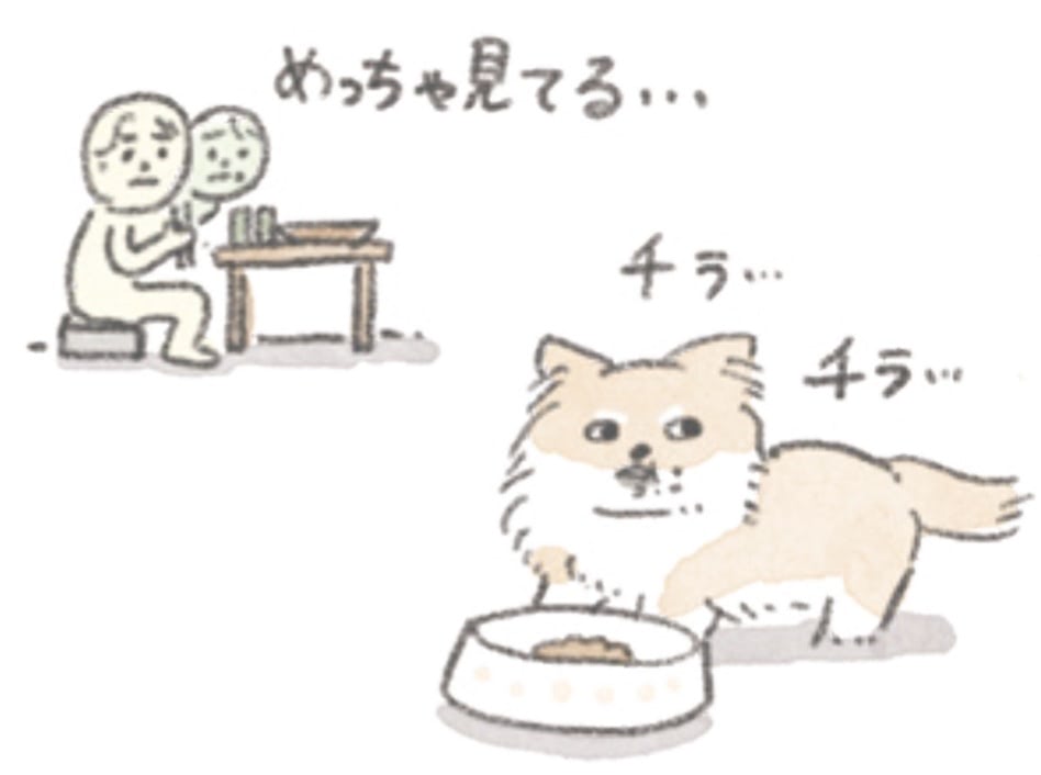 むっくを狂わすおもちゃ"ゾウボール"。見つからないように隠しても&hellip;【うちのむっくはいつも楽しそう#2】
