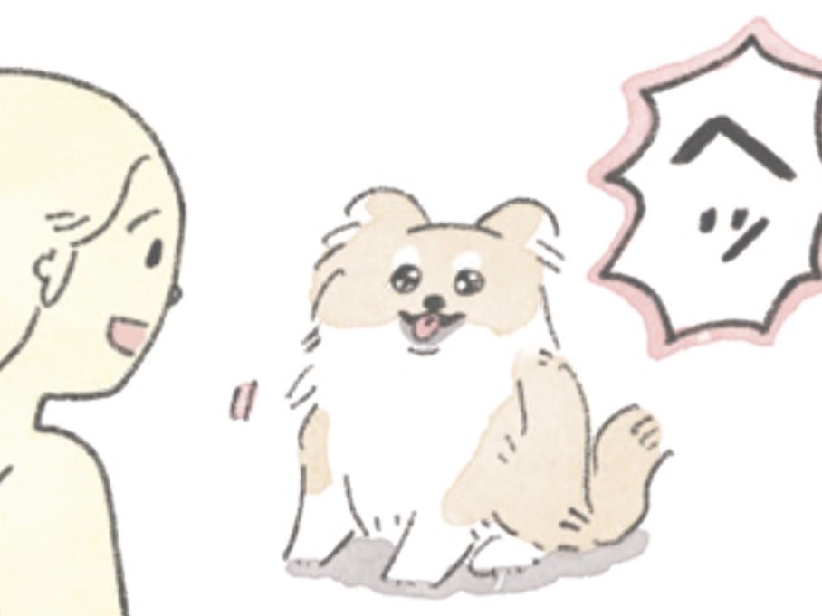 コレを言うとむっくがお返事。いい子になっちゃう「魔法の言葉」とは？【うちのむっくはいつも楽しそう#3】
