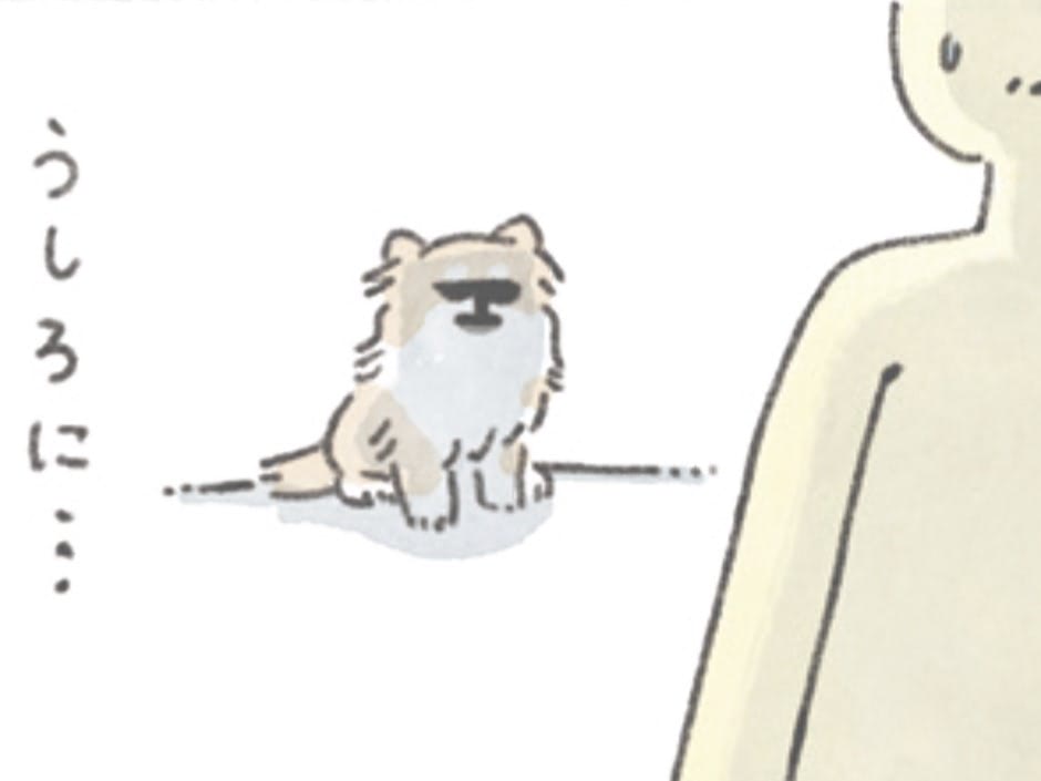 外は雨&hellip;それでも。お散歩に行きたい犬がうしろに&hellip;いる&hellip;！【うちのむっくはいつも楽しそう#6】