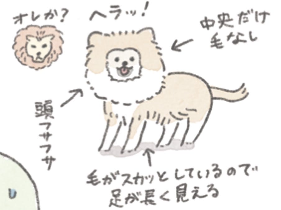 うちのむっくにも"猿期"がやってきた！だけどむっくは猿というより&hellip;！？【うちのむっくはいつも楽しそう#8】