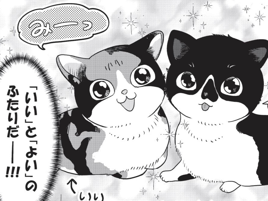 猫って「いい」か「よい」の2択でしょ？運命の2匹との出会い&hellip;人生最大の転機到来！【借金1000万作曲家の人生を変えてくれた猫の話#2】