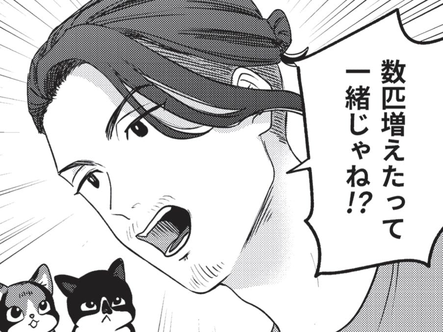 頭がバグるほどの猫へのビッグラブ。1000万の借金よりも猫の命が優先でしょ？【借金1000万作曲家の人生を変えてくれた猫の話#4】
