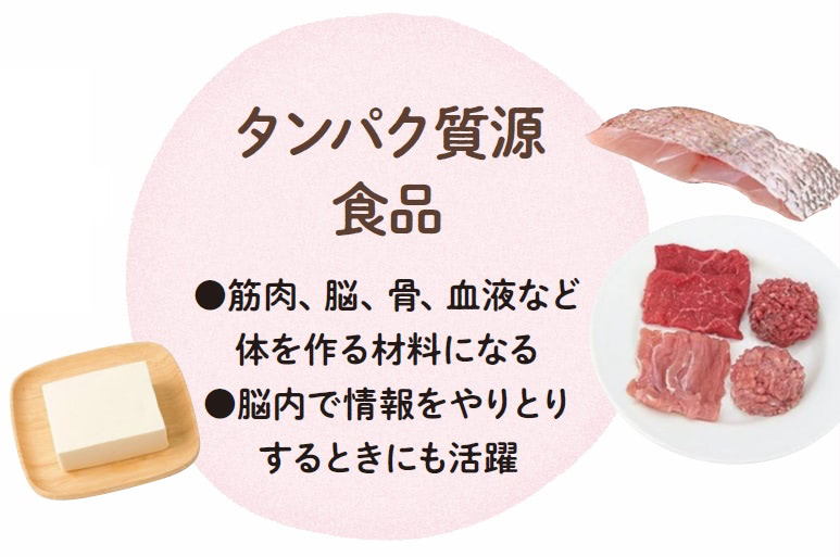 離乳食 栄養