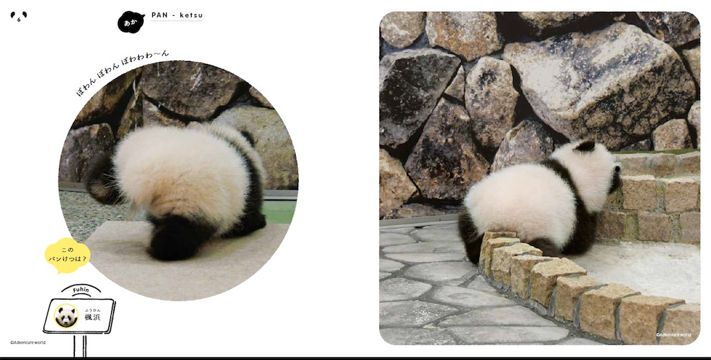 パンけつ