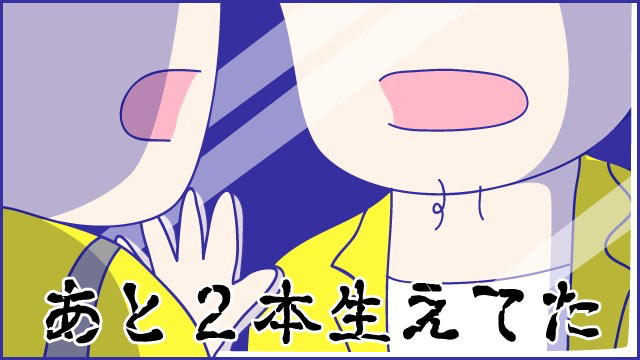 あらいぴろよ