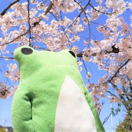ぬいぐるみ病院　リハビリテーション科
