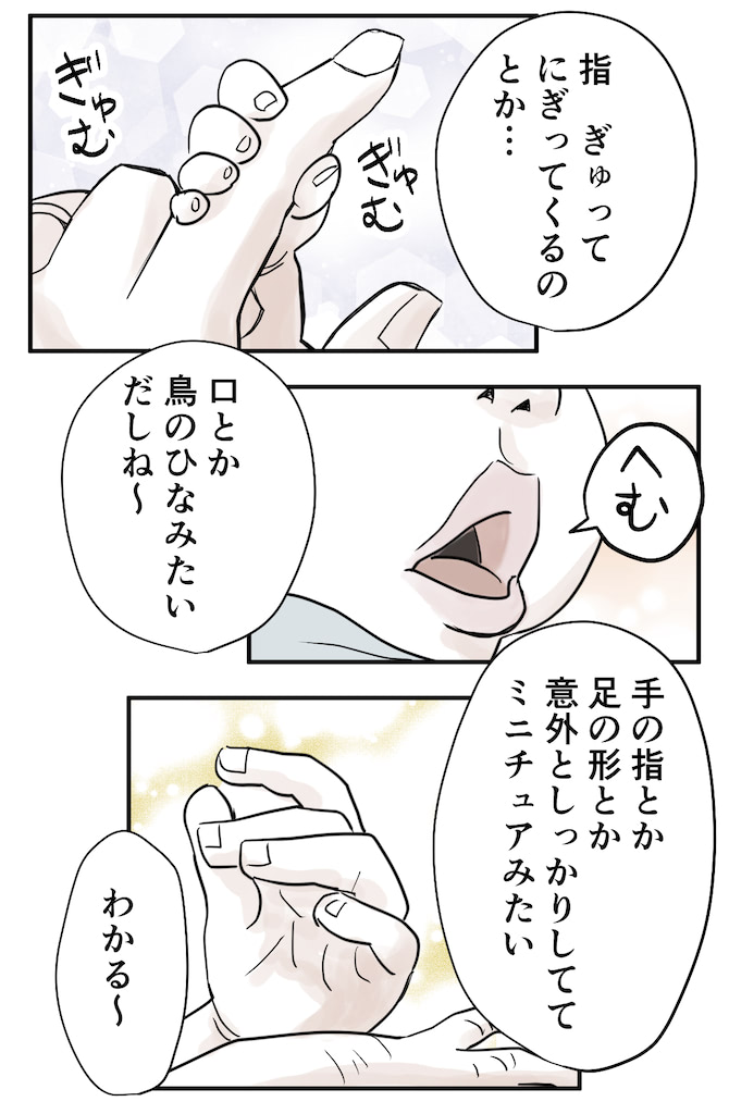もりた毬太