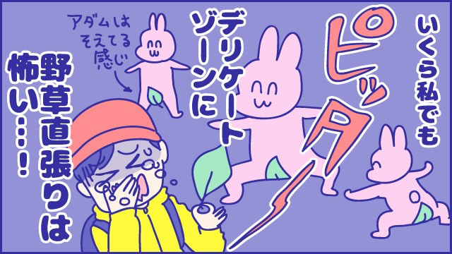 あらいぴろよ