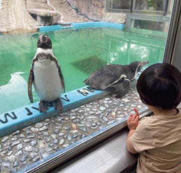愛媛県『虹の森公園 おさかな館』