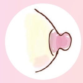 乳頭　大きめ