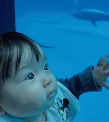 茨城県『アクアワールド 茨城県大洗水族館』