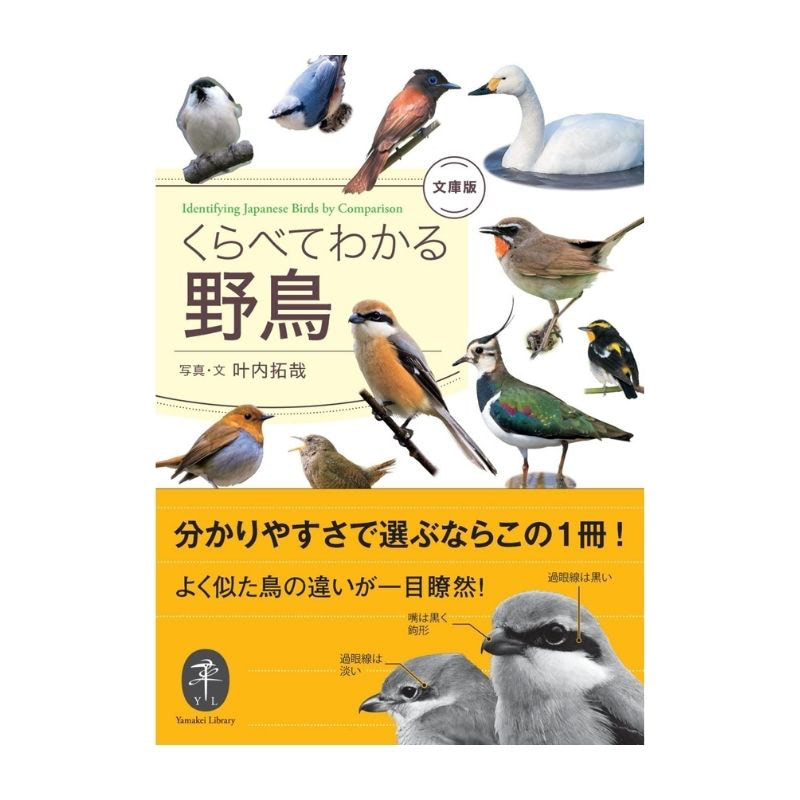 野鳥図鑑 おすすめ