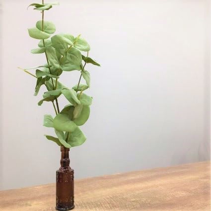 ニトリ フェイクグリーン 飾り方