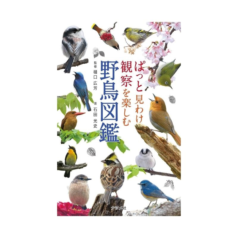 野鳥図鑑 おすすめ