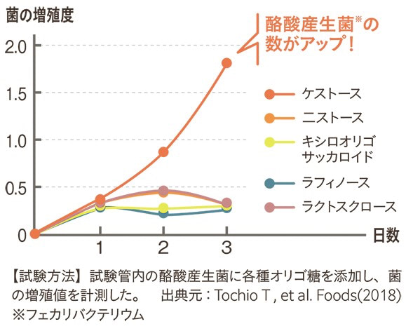 酪酸産生菌