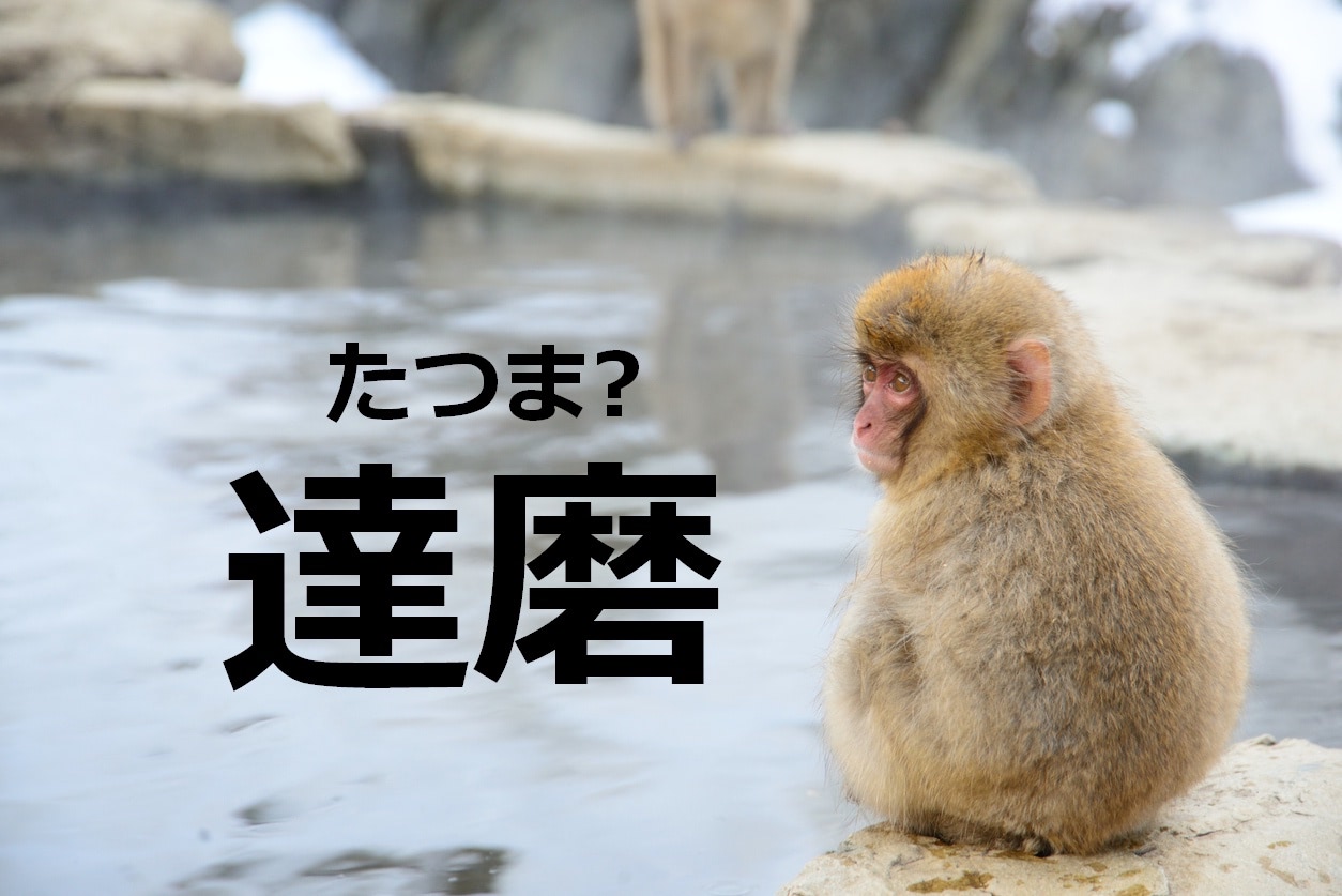 【達磨】なんて読む？【ママが読めないと恥ずかしい漢字クイズ⑯】