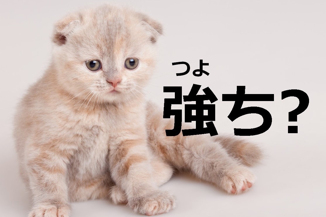 【強ち】なんて読む？【ママ読めないと恥ずかしい漢字クイズ⑱】