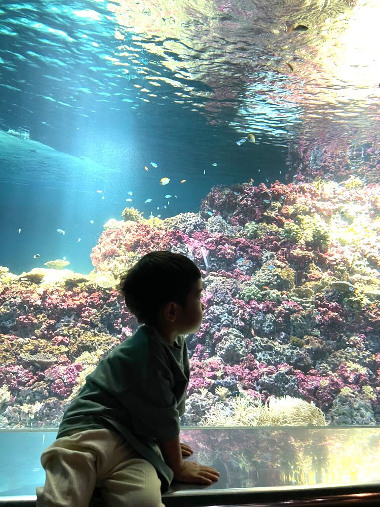 水族館