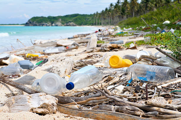 ガラスびんは100万年、プラスチックは450年。あなたのポイ捨てが自然や動物に与える影響とは