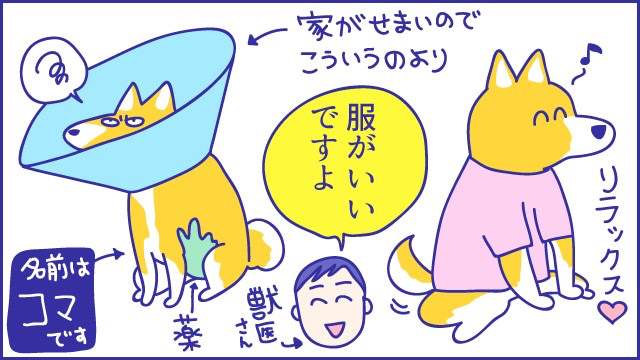 あらいぴろよ
